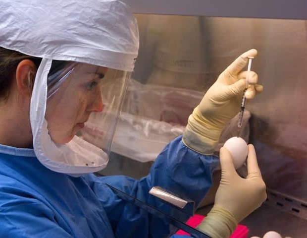 Antimicrobial resistance emerges as a slow-moving global pandemic