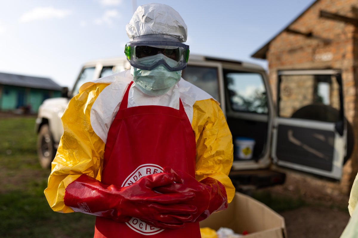 The world is more at risk of a pandemic now than before COVID, experts say. This is why