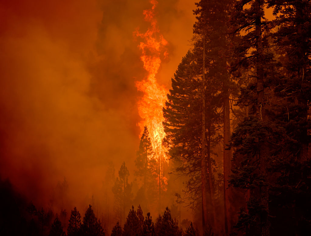 The World Is Failing Its 2025 Paris Climate Target. Now What?