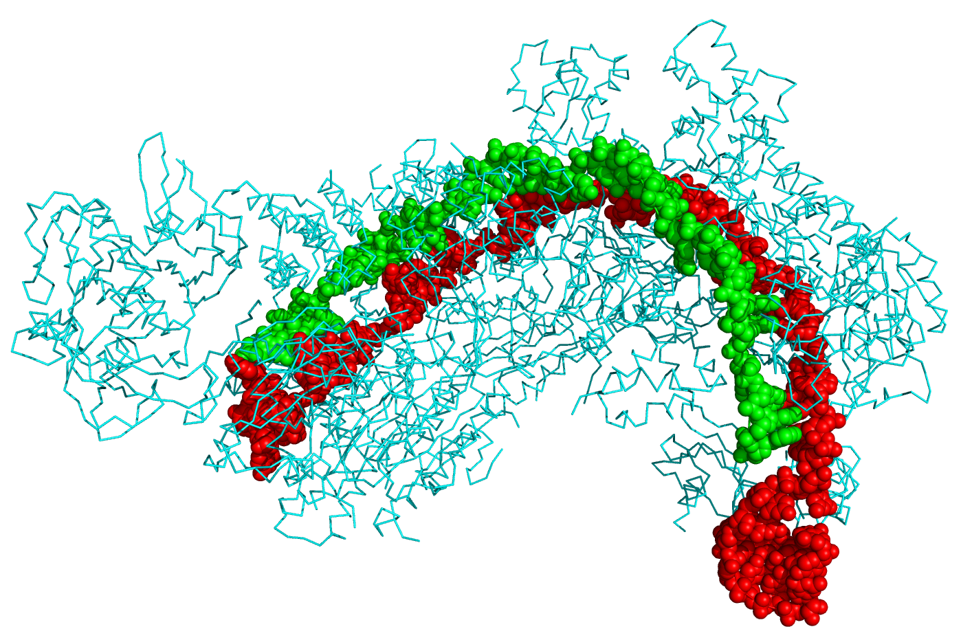 Human Gene Editing and the CRISPR Revolution