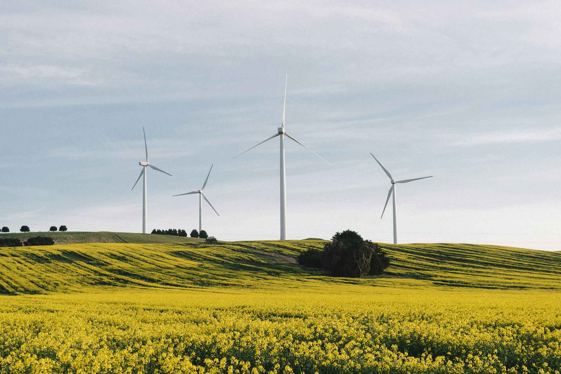 As global climate action threatens to stall, can Australia step up at COP30 in Brazil?