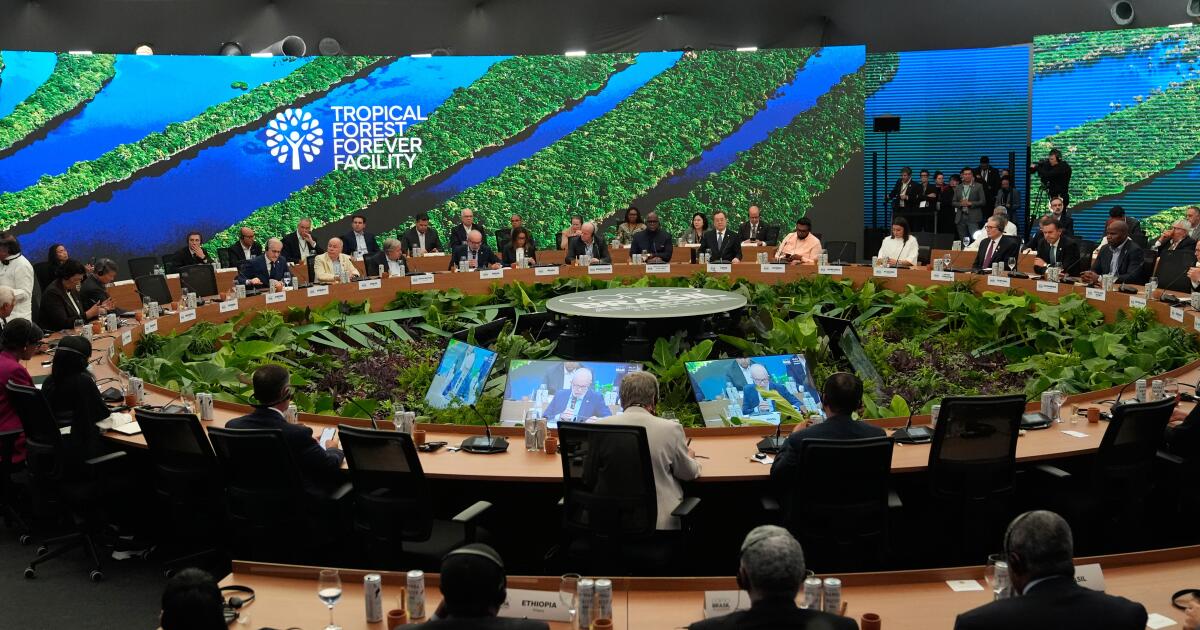 California steps in as Trump skips global climate summit in Brazil